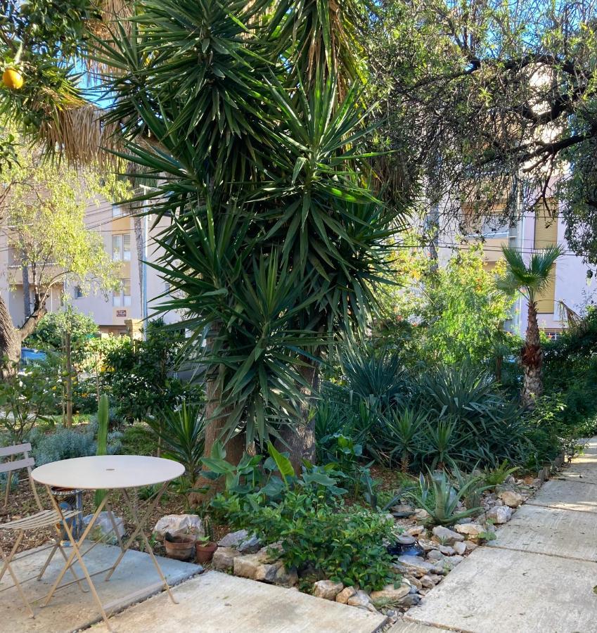 La Villa Des Amandiers Hyères Екстериор снимка